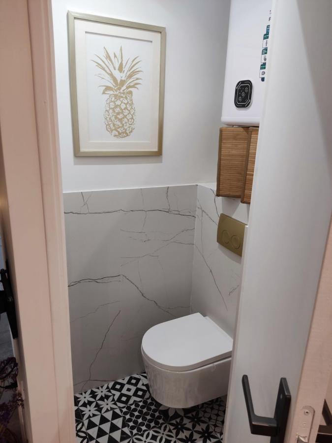 Superbe Appartement Avec Jacuzzi Avec Jardin Prive Lyon Exteriér fotografie